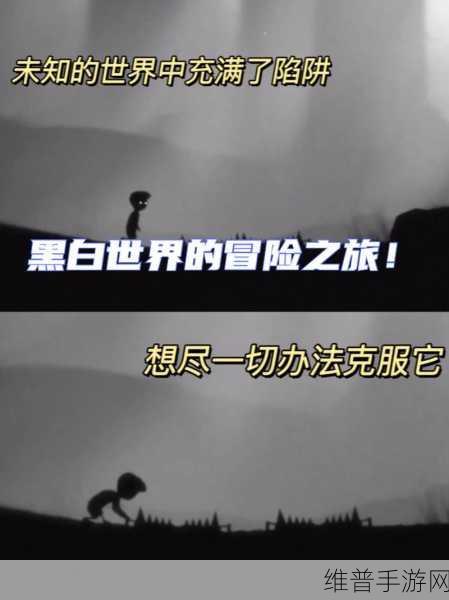 探索黑白世界的冒险之旅，悲惨之境IOS版下载全攻略