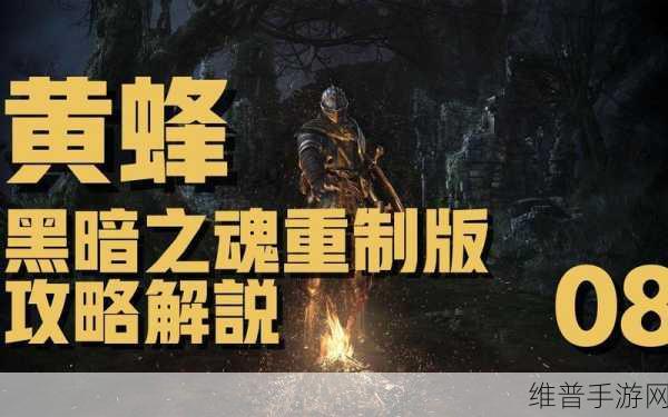 黑暗之魂重制版病村通关秘籍与全收集攻略