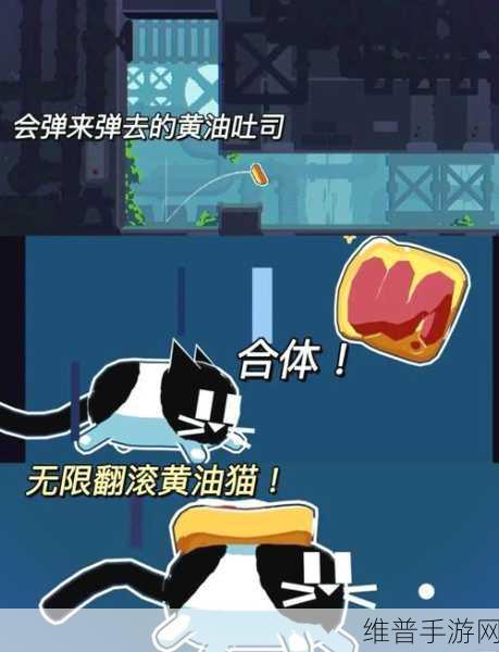 功夫猫游戏下载，探索像素世界的喵星人冒险之旅