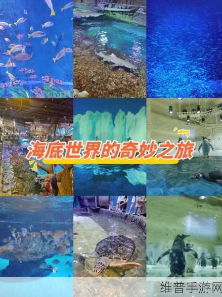 超级捕鱼红包版，畅游海底世界的休闲益智之旅