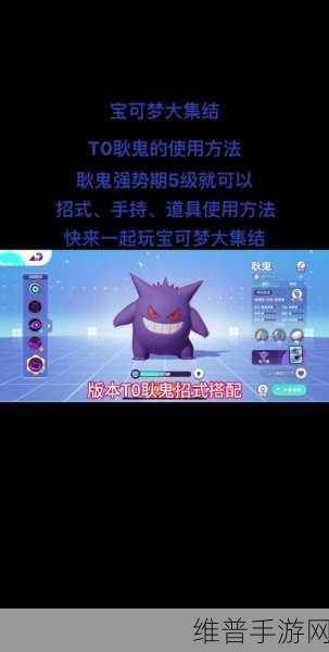 宝可梦大集结，耿鬼的致胜秘籍