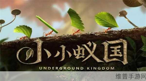 探索微观世界，小小蚁国国际版下载全攻略