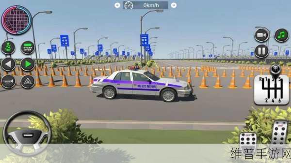 驾考模拟3D游戏下载，解锁趣味驾考新体验