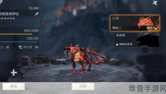 冰原守卫者火龙技能全解析及实战运用指南