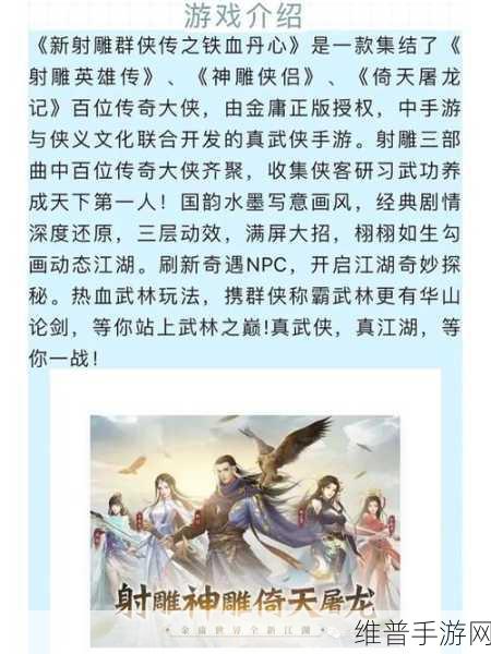 新射雕群侠传之铁血丹心0.1折下载,武侠迷的终极盛宴