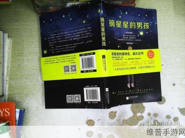 十二颗心的故事,解锁休闲益智新体验的游戏下载指南