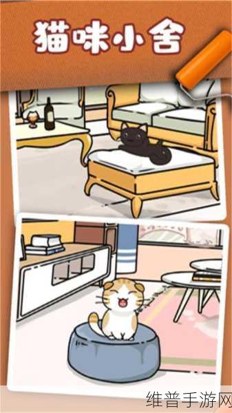 猫咪小舍安卓下载，探索清新可爱的猫咪养成模拟经营之旅