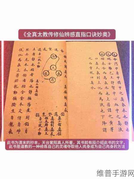 金庸群侠传 3 全真教入门指南