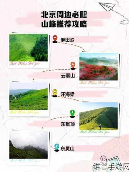 征服山峰，探索极致乐趣的登山类手游下载指南