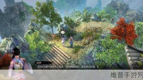 天命奇御，遗失布包任务全解析