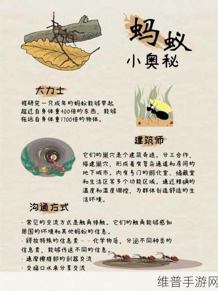 宝宝认蚂蚁安卓版下载，开启幼儿知识科普新篇章