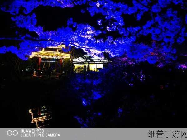 逃出梦幻之境，一夜樱汉化版深度攻略与下载指南
