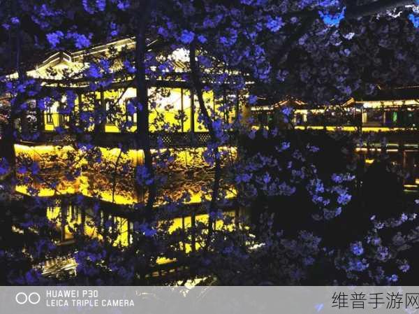 逃出梦幻之境，一夜樱汉化版深度攻略与下载指南