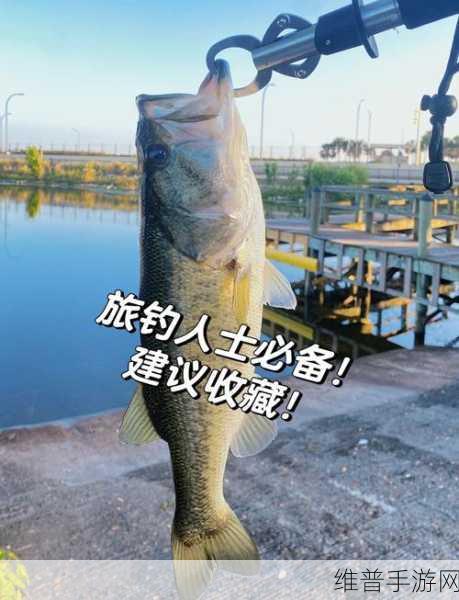 探秘Fishing Talent，尽享指尖上的休闲钓鱼之旅游戏下载攻略