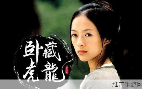 卧虎藏龙逍遥玩法全解析，成就最强之路