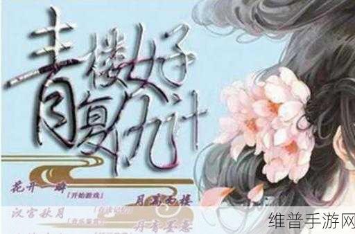 青楼女子复仇记攻略版深度解析，小说改编RPG手游全攻略
