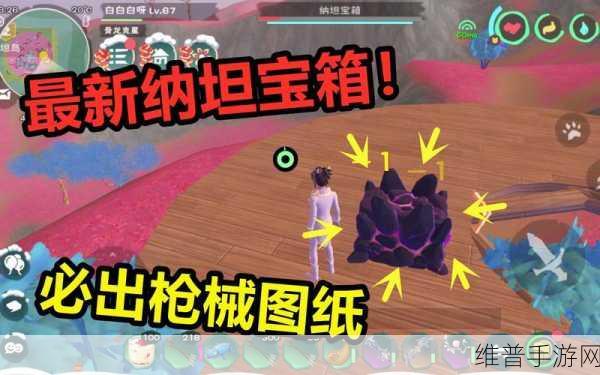 创造与魔法，龟类宠物的生蛋之谜大揭秘