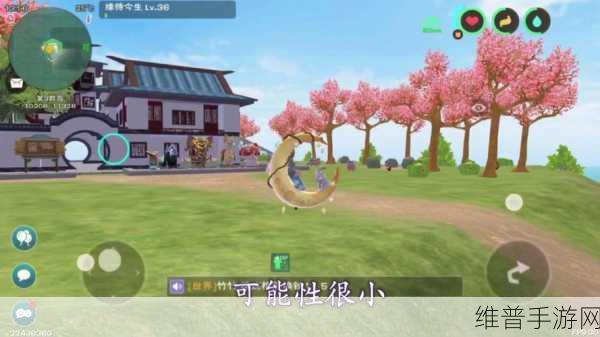 创造与魔法，龟类宠物的生蛋之谜大揭秘