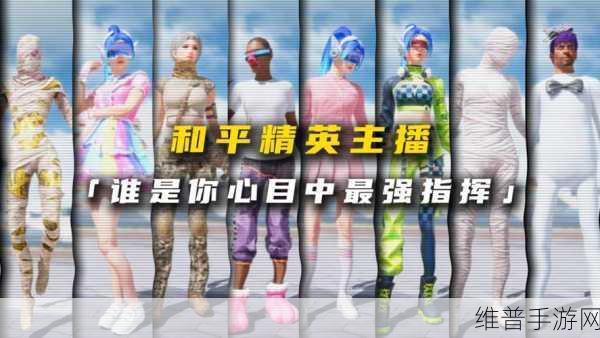 和平精英直播观看指南，优质平台大揭秘