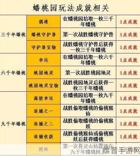 PT 梦幻西游，全方位玩法攻略深度剖析