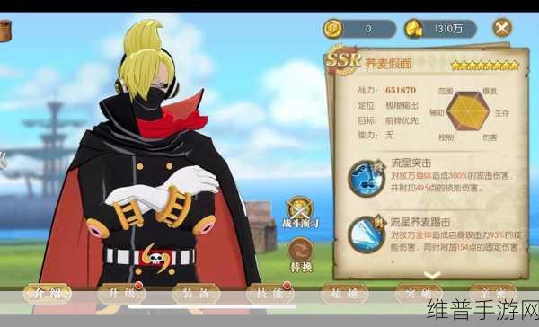 航海王梦想指针,五星角色搭配秘籍指南