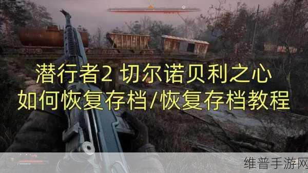 潜行者 2 切尔诺贝利之心，满改巨浪的终极获取秘籍