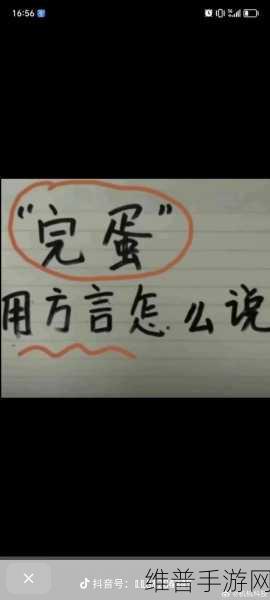 这说的啥呢下载——探索方言魅力，智慧挑战尽在指尖