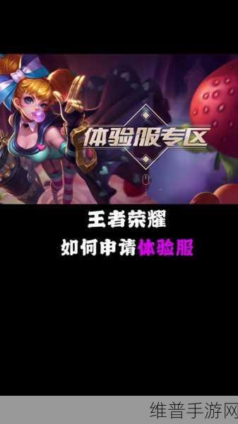 安卓玩家必知，王者体验服申请秘籍