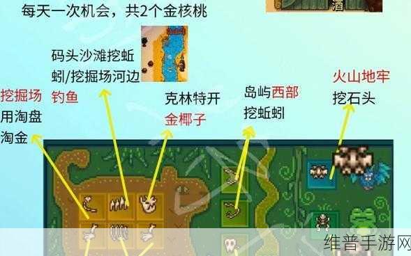 星露谷物语金核桃位置大揭秘 全攻略奉上