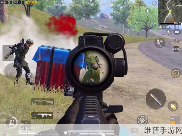 和平精英，揭秘老六一词的神秘起源与致胜策略