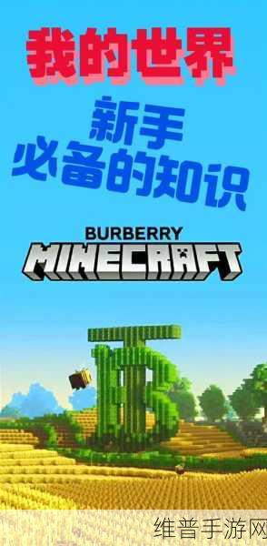 我的世界1.7.0.3版本深度解析，探索3D像素游戏的无限可能