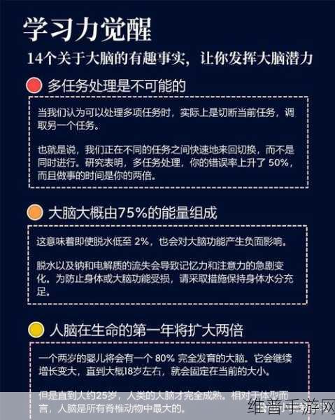 最强的大脑攻略，摆脱游戏广告秘籍大公开