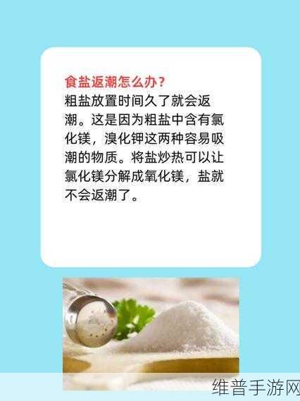 烹饪吧！Cook It!，开启你的趣味厨房之旅