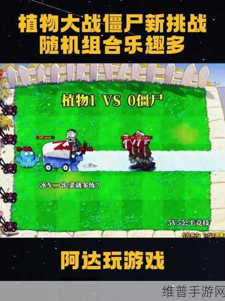 探秘植物大战僵尸随机植物版2024，策略与乐趣并存的全新挑战
