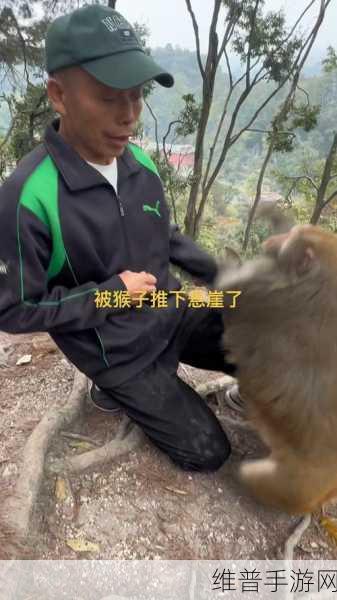 深入探索不要喂食猴子手机版，安卓玩家的摄像头模拟监控新体验