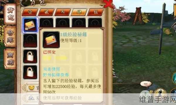 卧虎藏龙手游全攻略，畅玩江湖秘籍