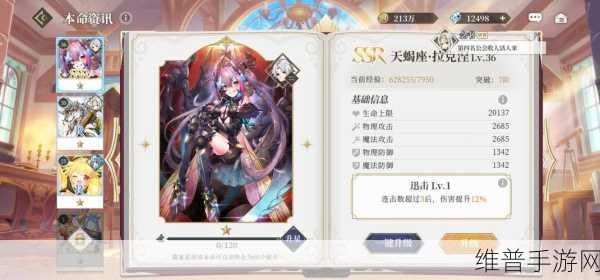终焉誓约元素队本命搭配全攻略