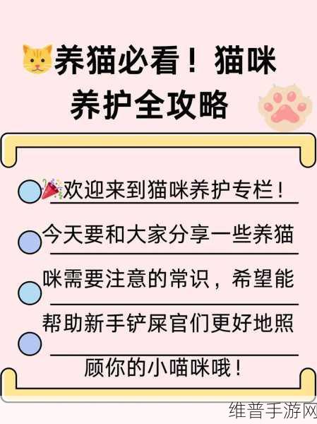 小猫咪大城市全成就解锁秘籍大公开