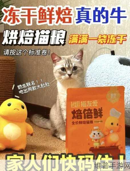 小猫咪大城市全成就解锁秘籍大公开