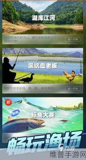天天钓鱼免广告版下载，尽享模拟钓鱼乐趣的休闲游戏指南