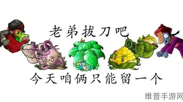 超级投手3D安卓版下载，体验非常精彩的体育运动类游戏