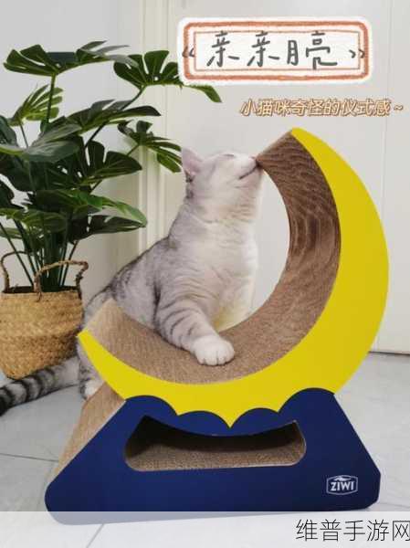猫咪登月安卓版下载，开启竞技冒险新纪元
