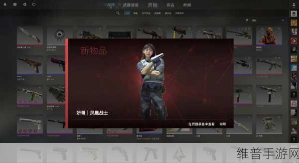 暴躁老姐的CSGO心得分享夫妻:枪战女神:我的FPS竞技之路【专题】