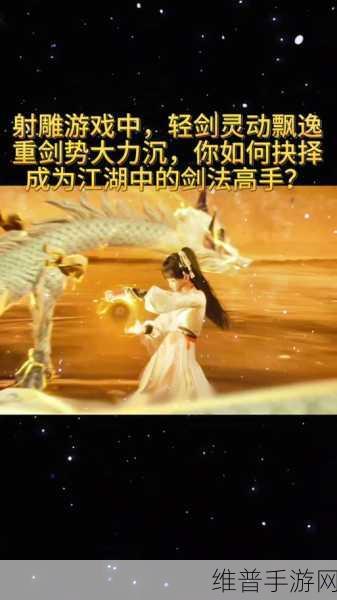 射雕手游，重剑与轻剑的巅峰对决