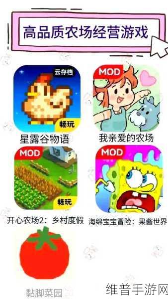 探秘点击农场游戏下载，领略看似简单实则深邃的经营乐趣