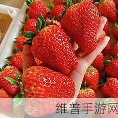 草莓视频成人99：草莓直播 - 交友聊天【专题】