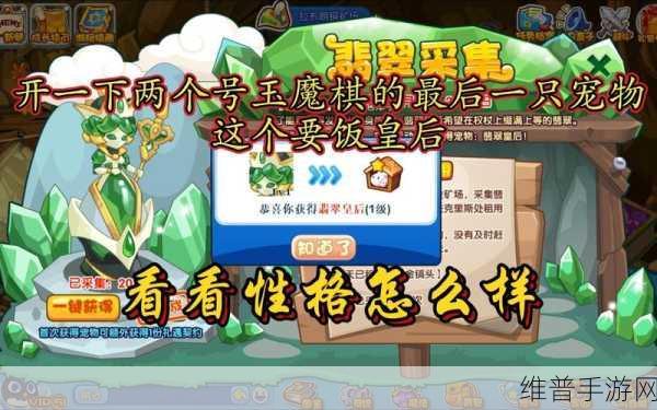 洛克王国翡翠采集活动全攻略指南