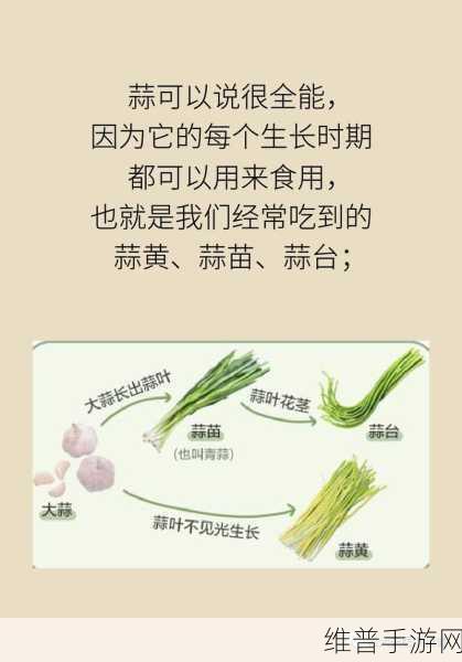 我们的大学消化环节超全玩法指南