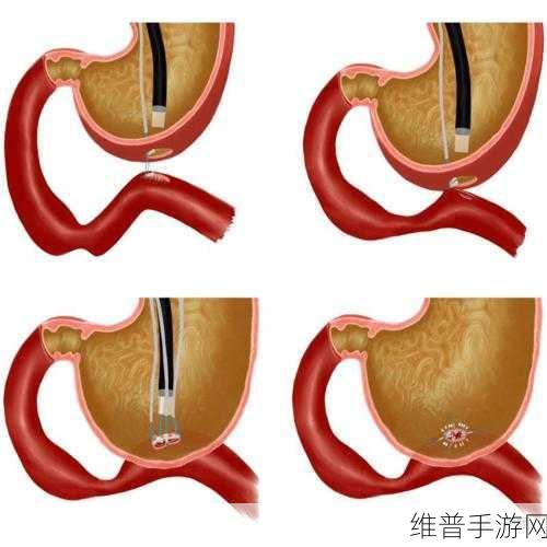 我们的大学消化环节超全玩法指南