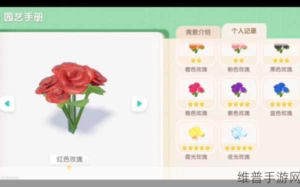 小镇物语中送玫瑰花的多重用途大揭秘